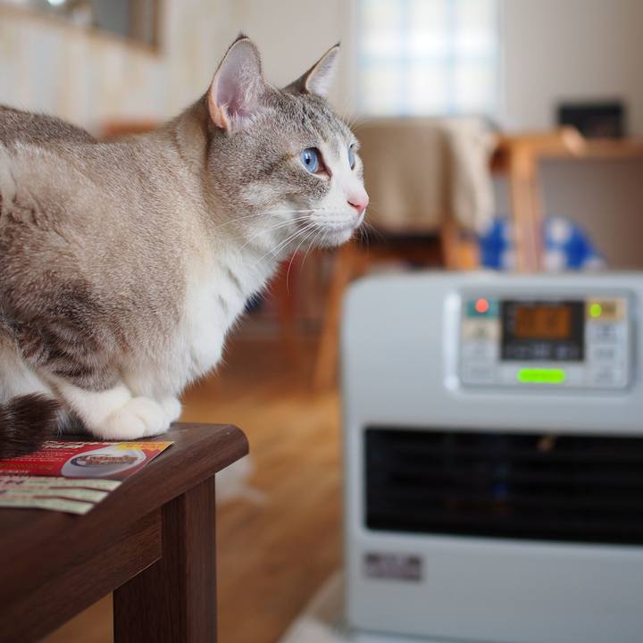 445d7db2 328a 4894 9825 061cc8e86b0b 1551228168636