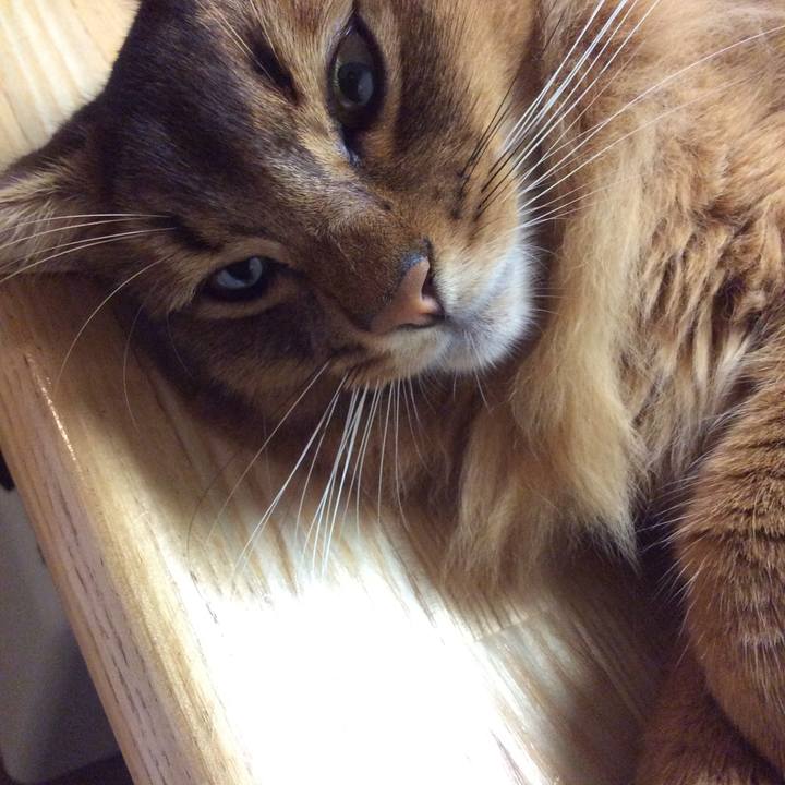 445d8704 3454 4dc5 804f 626133b036df 1600143241764