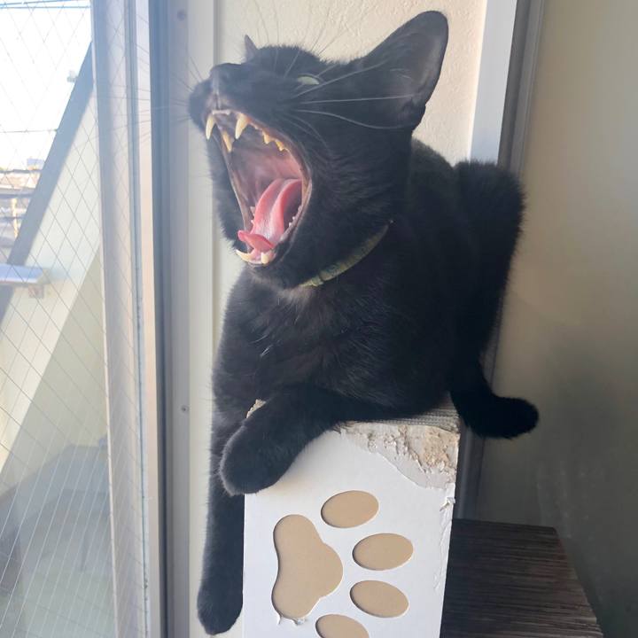 445dac32 adcb 4be0 9d68 4135b7c30ff3 1538105427530