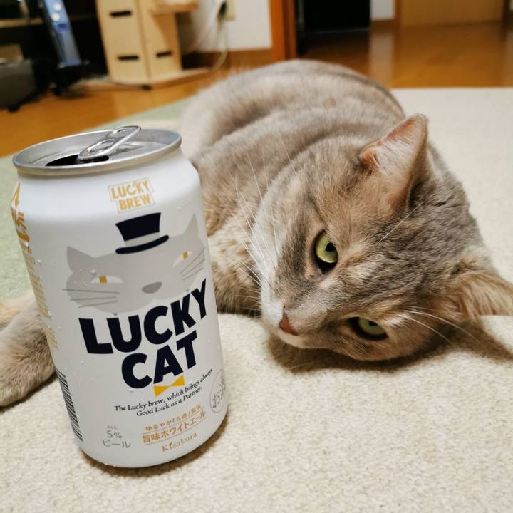 445dd146 156c 464a 9724 112ee1d36081 1629554100597