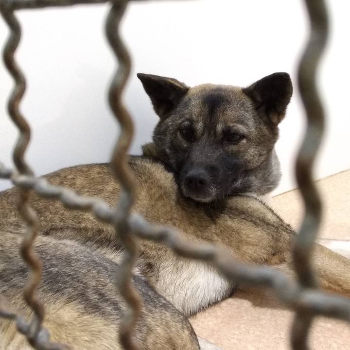 445e29ef e4d8 4bcd 945d 3f2d7a501ccd 1548507269546