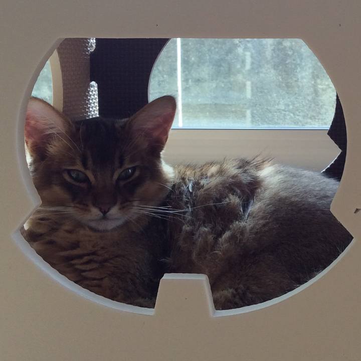 445e3251 efd9 43fa b250 c545ab3a8727 1575018349788