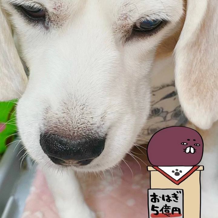 445e5724 c25f 47a2 a936 5320a75d786a 1695426998165