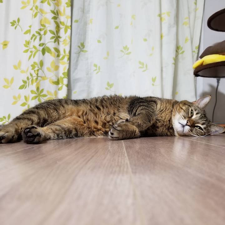 445e7fff c557 412f ac7e 3774f063310f 1610452393549