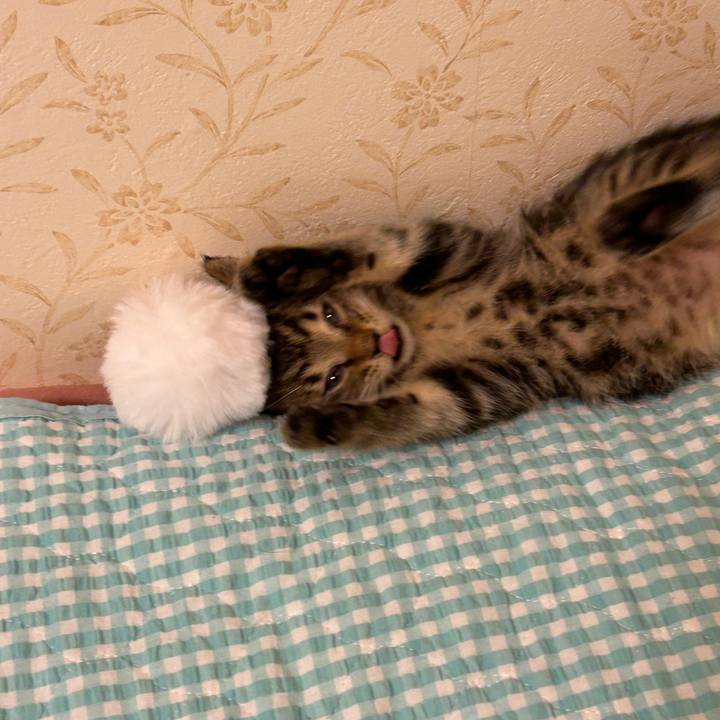 445e91d5 ba39 484d b9f3 07e0f5efe5c1 1724236478185