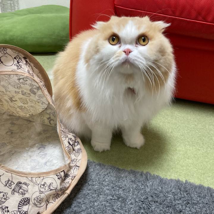 445f2085 45e1 44c8 876e 37c5e7c43fe7 1637669461794