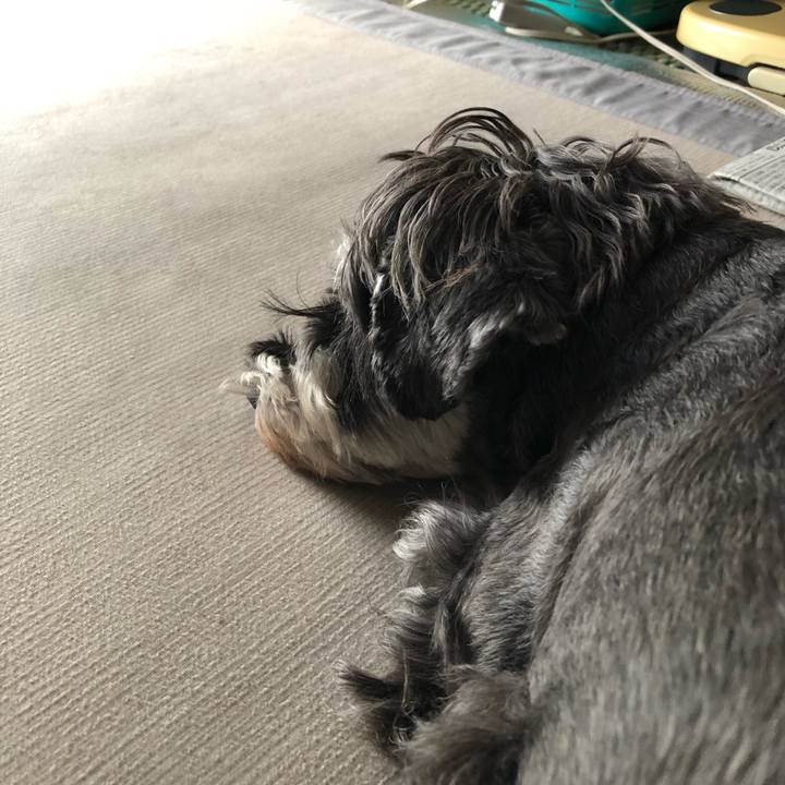 445f2bd1 73b7 4106 890f 7597756a200a 1633235790933