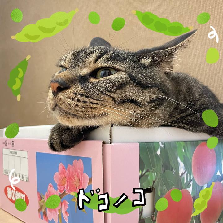 445f325e 1a2b 4828 9957 8058dd15182c 1720868424964