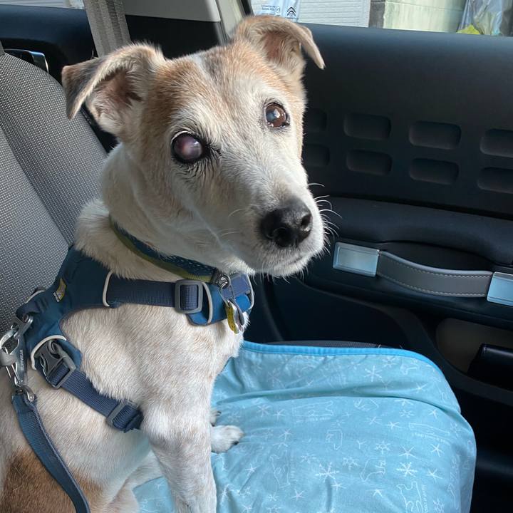 445f32fe e2d8 44e0 8864 0a02aa24e811 1669533113561