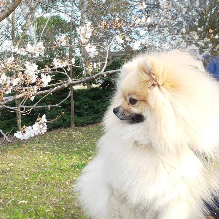 445f4810 cff0 47d9 b8ad 2f8a793e7663 1679377401853