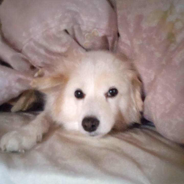 445f88f8 36c9 471f bc30 07689e472506 1645743296686