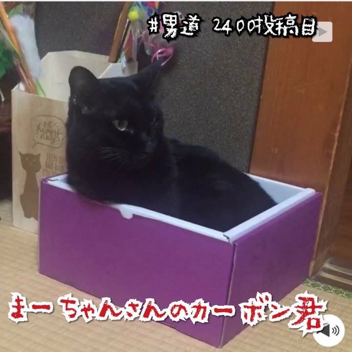 445f8fa9 cd70 4746 bae3 830c73940bd2 1567394621724