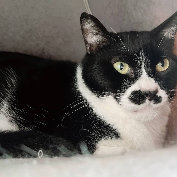 445fad73 9a39 4864 9566 858da367181b 1676116264327