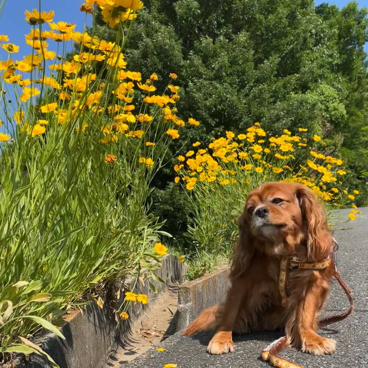 445fb7d4 3a67 48fc b163 701c95d1af33 1653177599754