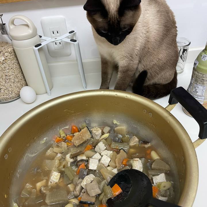 445fc9eb 0f1d 45e7 ae4e 67a07763d7b4 1736025420571