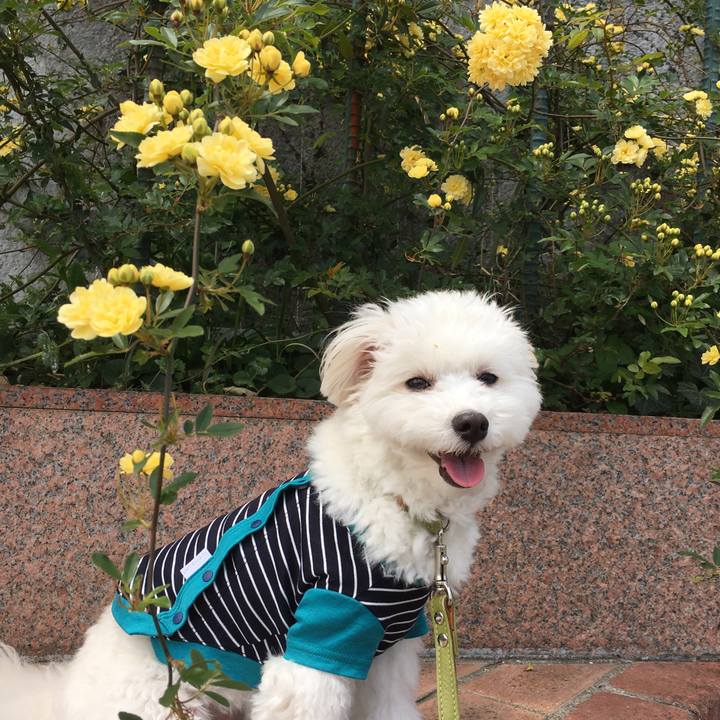 445fcf3f b06b 4fb7 9a2a 5c09890985ab 1555579688461