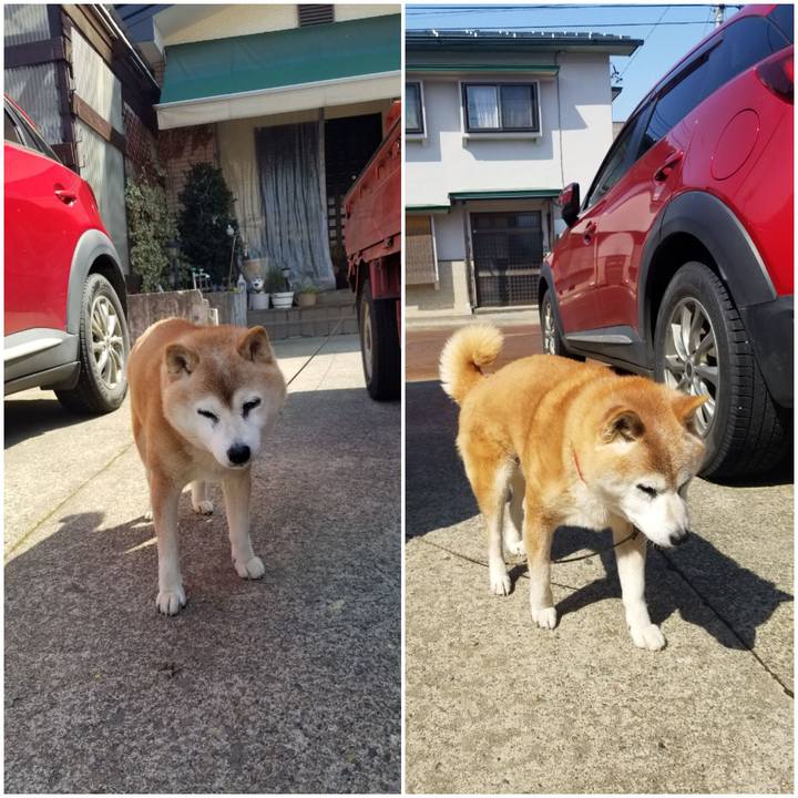 445fd03c 02b9 49c2 9bde 977f9f163263 1742608041619