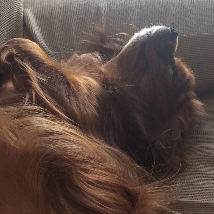 445ff911 1006 4679 bad1 09fc2fcd810b 1589429804424