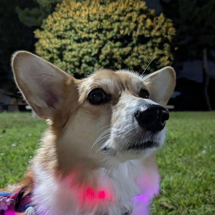 445ffba4 f794 4a98 b688 7d87a8db2098 1761305710995