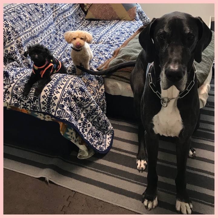 44600640 4970 4785 aa3d f37c31509a99 1524006062599