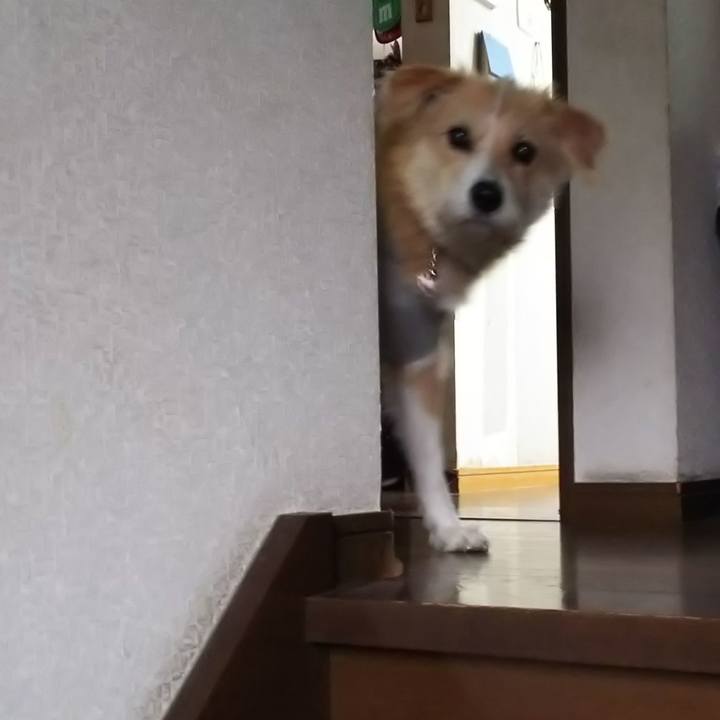 44600e88 f562 4321 b8d8 ae479c3bc195 1549847494231