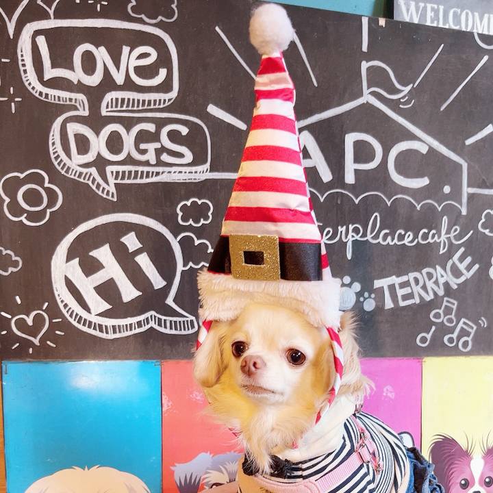 44602262 642c 47d6 b5f5 c9b707c1f6d6 1732329190031