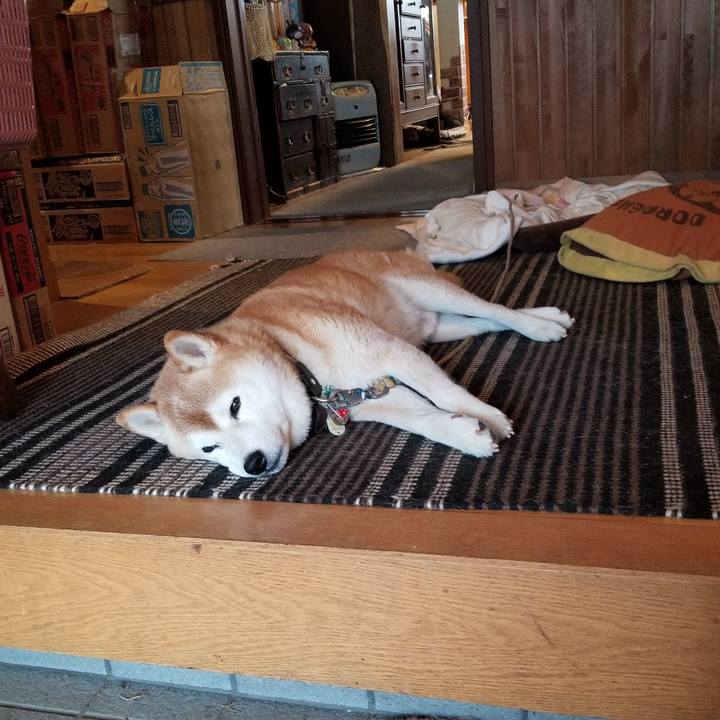 446064cc 3061 488c b37c 82e892c1ebde 1696892778049