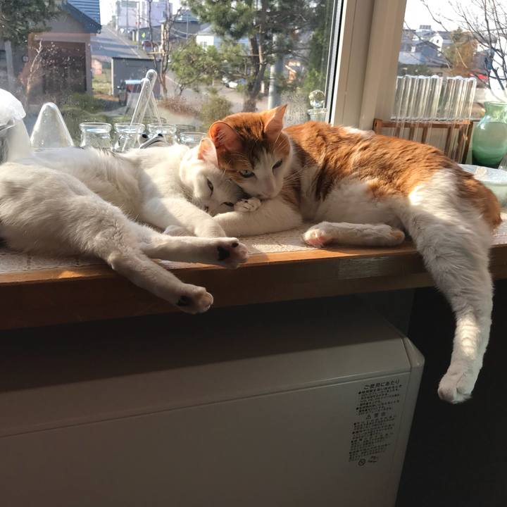 44606728 9899 4f46 8f6c 9e02ecc15245 1524952201916