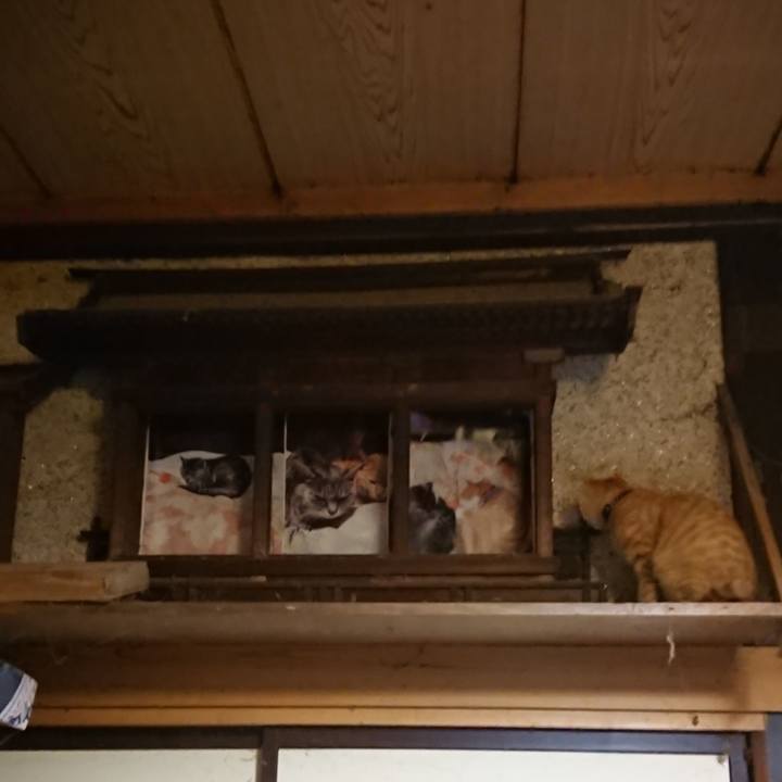 446071bc 800e 4c7f 9174 133f90d59489 1635679908779