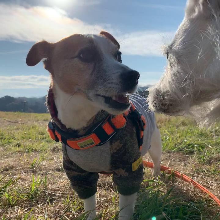 4460b6c8 2657 42a1 adb5 462ead2f3868 1637197651577