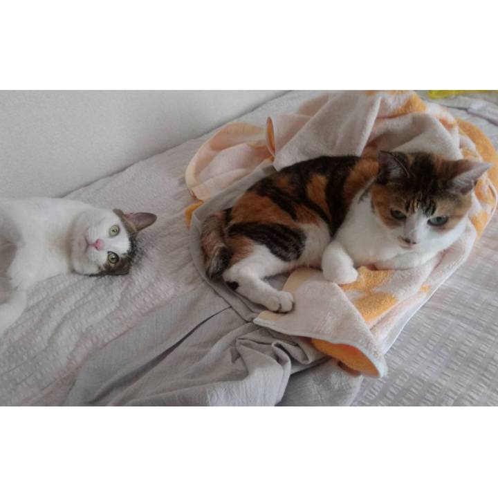 4460f3c6 675f 4aeb b0b2 967eee3f6ce8 1692351297234