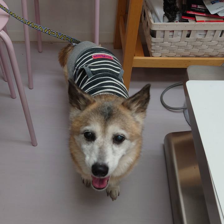 4461107a 8324 4655 8094 1709f1c435b2 1739614447623