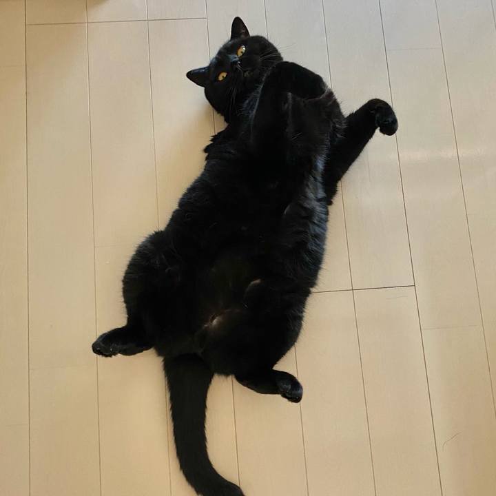 44613897 1e75 44f5 a967 e3e3259c371a 1626558634528