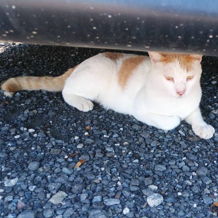 446158c7 024e 4baa 942b 8323b71cb4bc 1599183226364