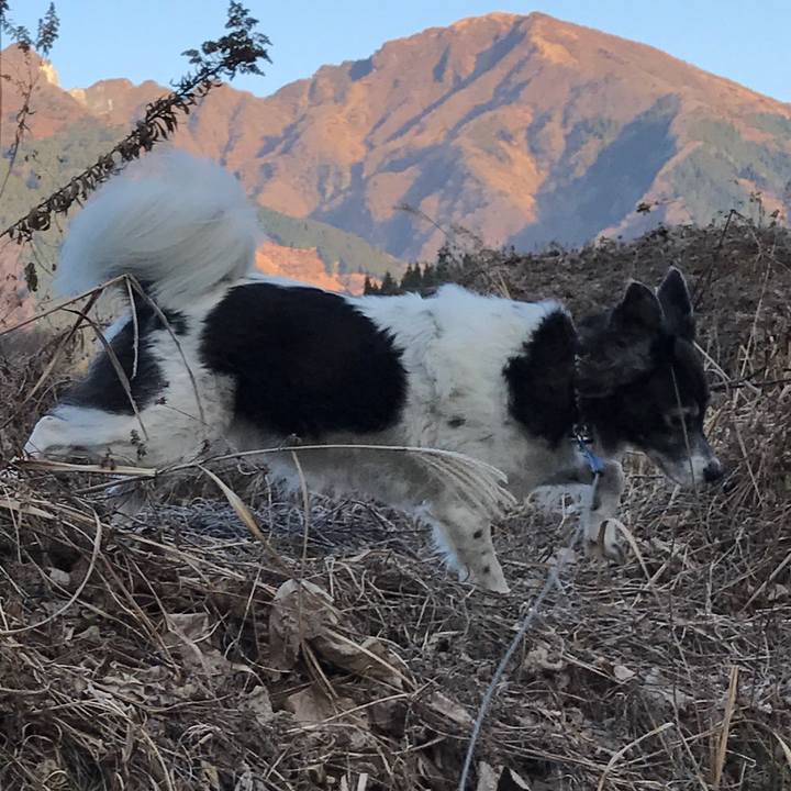 44617007 0c2a 4b58 bd44 d57c4fdee235 1513300732559