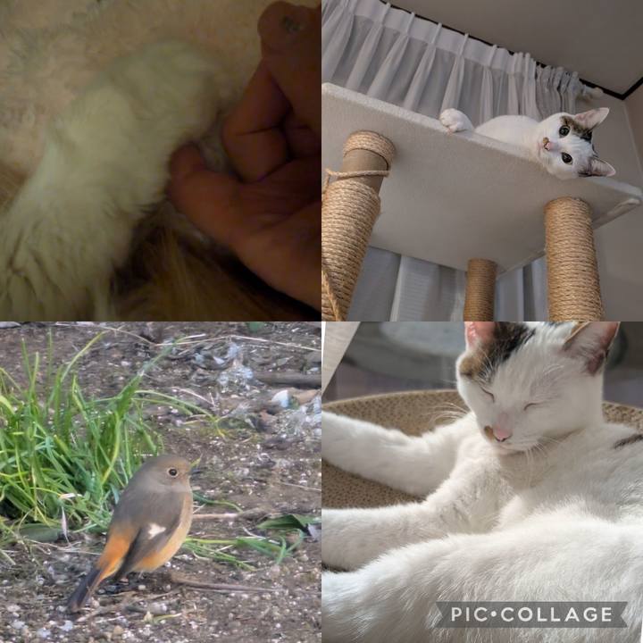 44618028 371e 47b2 94b9 97f47ef05060 1735368494855