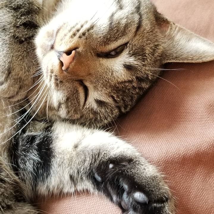 4461d9cb 813a 4e16 ad0b 853a0c4120b3 1685272380870