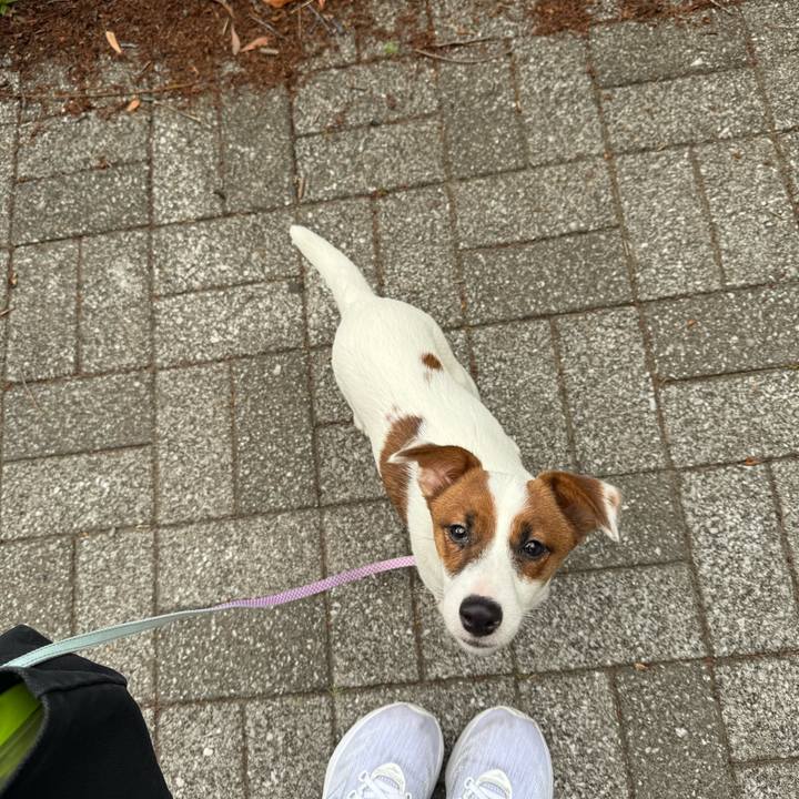 4461ee6a 068c 41a0 a6bd c6657a46223f 1746356193720