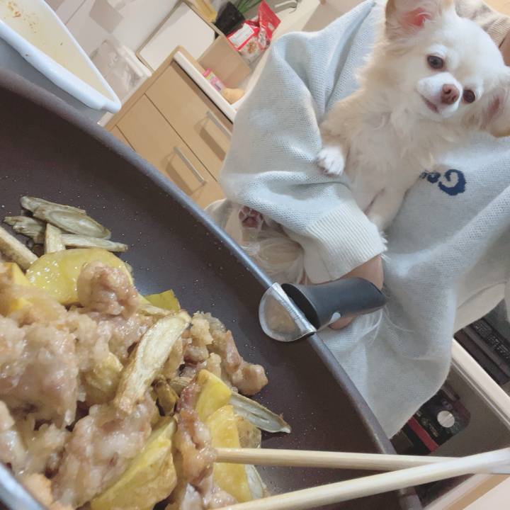 446213bd 306e 4b75 b114 74feca0c28c3 1702284799571