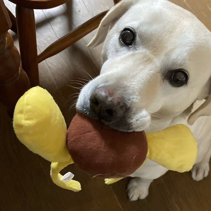 446246b9 a209 4574 b265 5b0d603cd77a 1734273613031