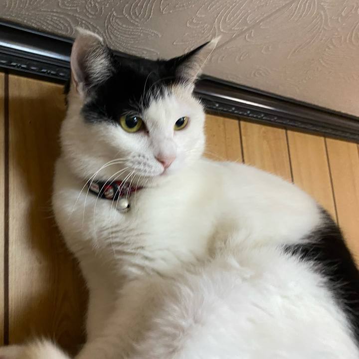 4462651c be4e 49ef b460 c00eed1c8c38 1649017074505