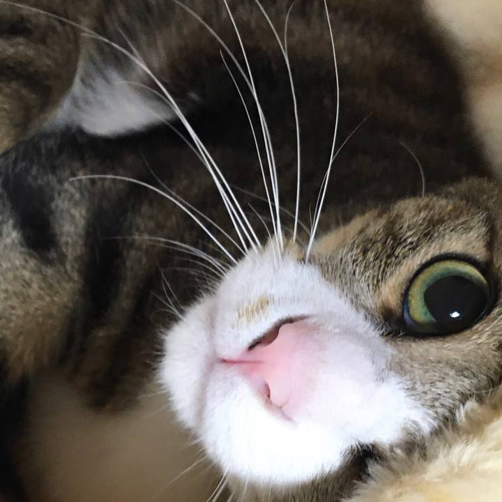 44627b92 874c 42fa ac4b 2fe9b9b14686 1685156910460