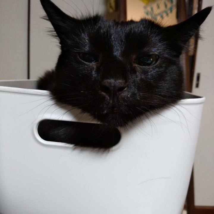 4462b77d e1a3 4401 ae92 fc808bd04879 1612361176391