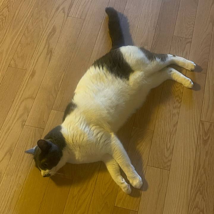 4462d6d2 aeef 4022 b117 b8bf310b2799 1745011281190