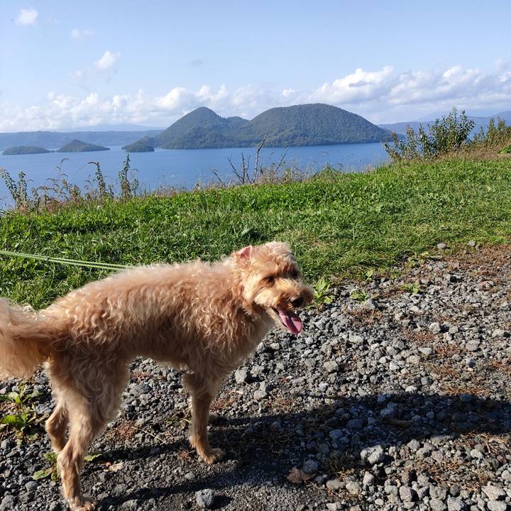 4462e120 4234 41d1 9c94 39819684e630 1602023857018