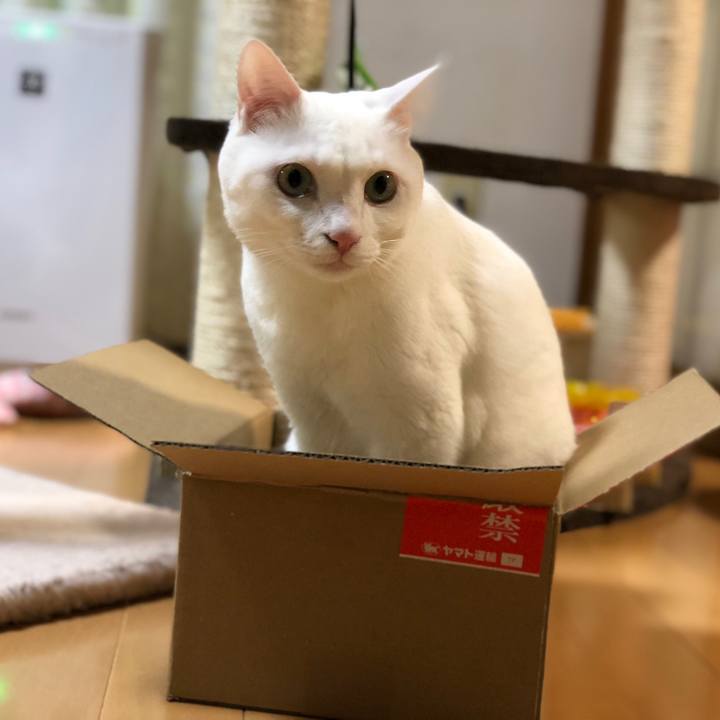 4463086e b587 4905 add1 0a8b4f5002b4 1525872389973