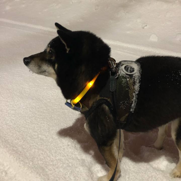 44631357 f7de 4bb3 8099 cb20668b62a5 1546997915092