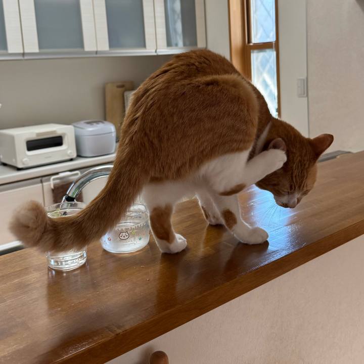 446351cb e7c5 4803 890c 349c15966ffc 1756869864894