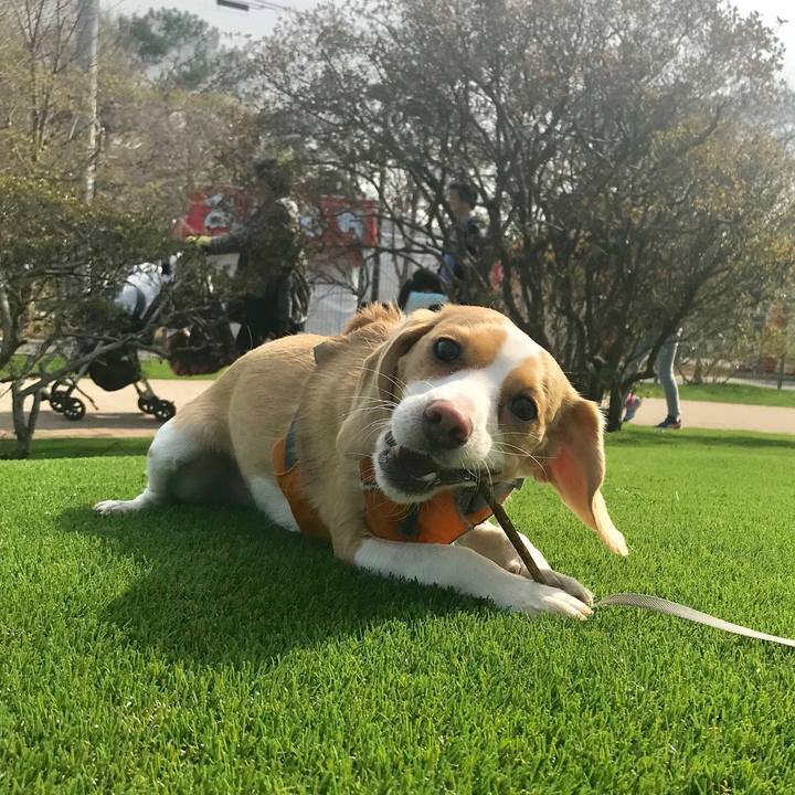 44635a07 3421 487c 967b 4bb419bd42b9 1553493914178