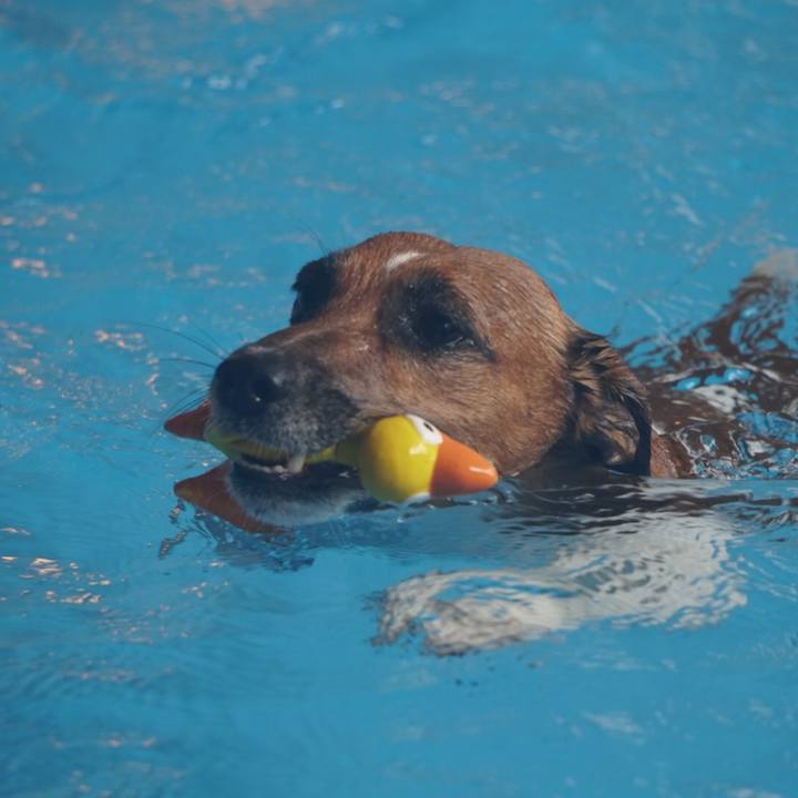 4463696d 03cb 48dd a2fc 20d53a4e00e9 1533768913648